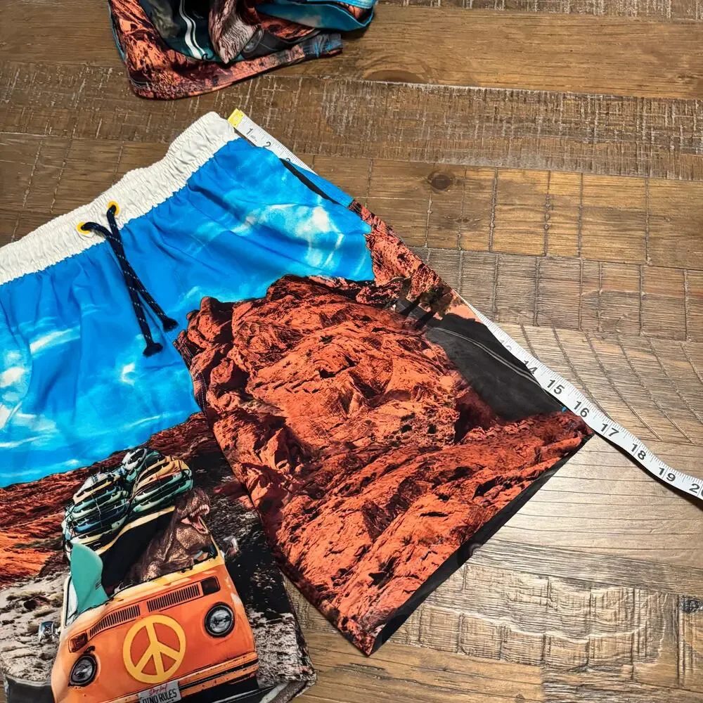 Lot of 2 Boys Swim Trunks Wonder Nation L 10-12 Dinosaur Surf Boards Twins